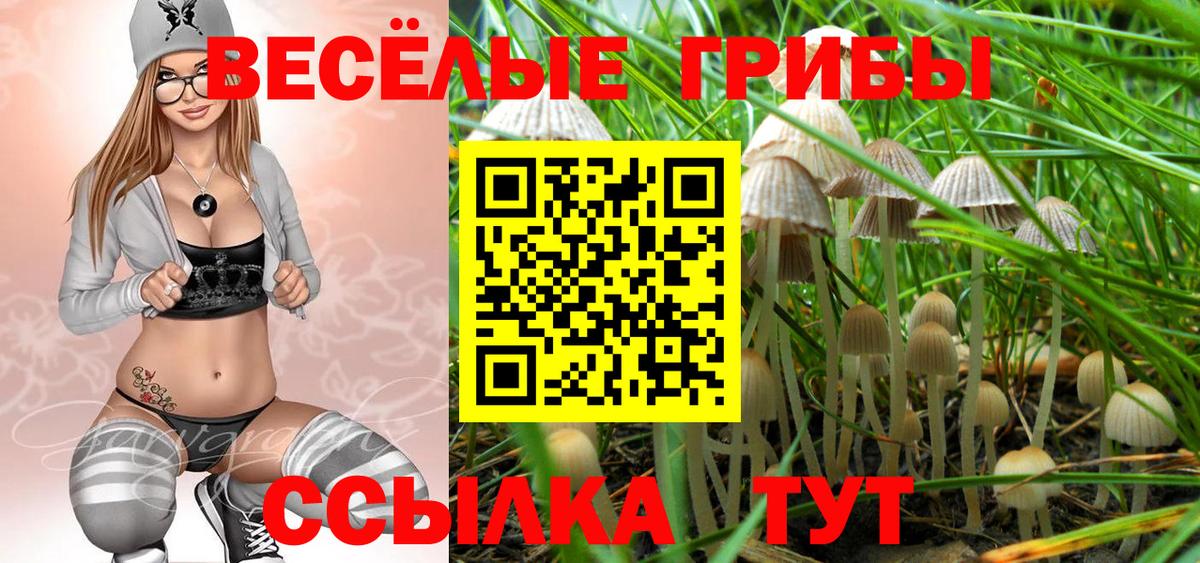 Галлюциногенные грибы Cubensis Чебаркуль