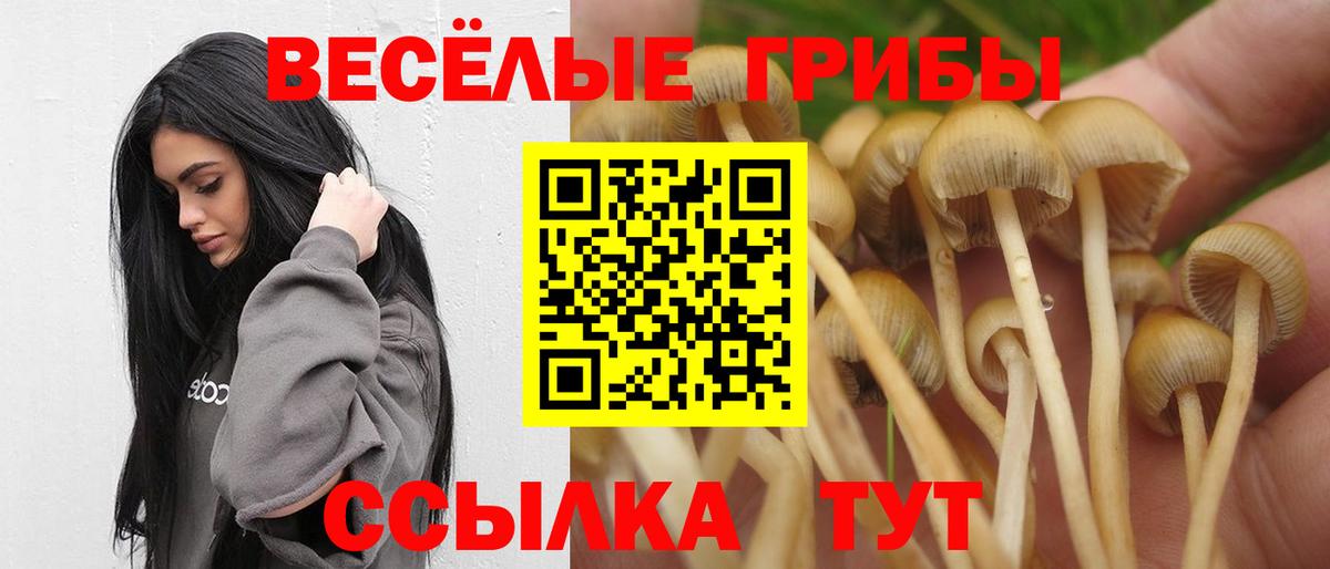 Чебаркуль  Галлюциногенные грибы мицелий  Вход с VPN 