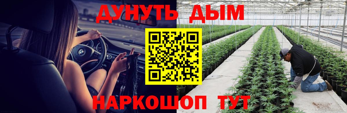Чебаркуль  Бошки Шишки сатива  Вход с VPN  Шишки марихуана ГИДРОПОН  Шишки марихуана Bruce Banner 